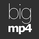 Bigmp4使用指南